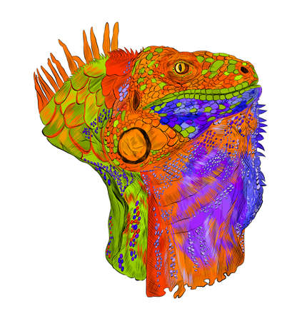 iguana head portrait reptile multicolored abstraction green orange blue details barcode graphic vector illustrationのイラスト素材