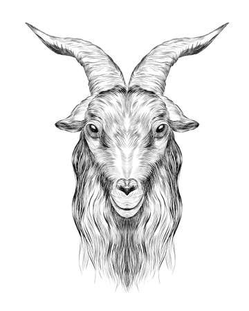 goat head black and white sketch coloring book portrait with horns profile bar graph symmetry vector illustrationのイラスト素材