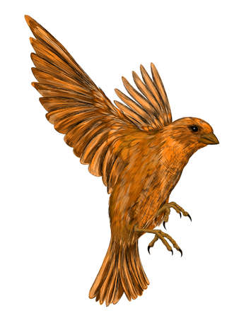 Sparrow bird brown in flight vector illustrationのイラスト素材