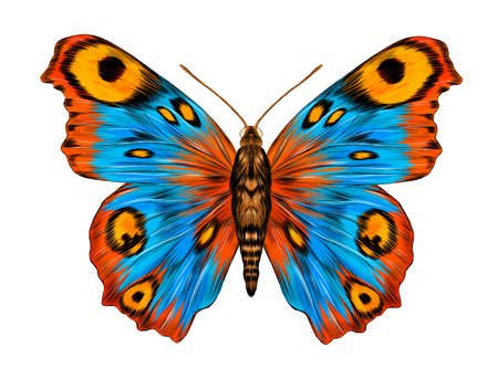 peacock eye fabulous barcode beautiful Urania Madagascar vector illustration blue yellow orange butterflyのイラスト素材