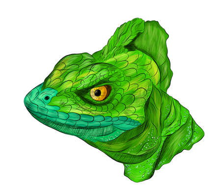 lizard reptile head green Basilisk stroke realistic vector illustrationのイラスト素材