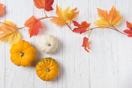 Mini pumpkins and Autumn leaves over white wooden background, copy space, top viewの写真素材