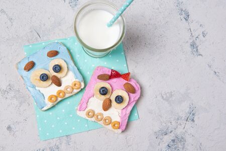 Owl toasts with colored spreads, food for kids idea, top viewの写真素材