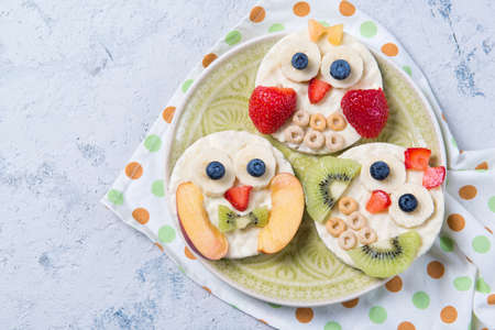 Rice cakes with yoghurt and fresh fruits in a shape of cute owls on a plate, meal for kids idea, top viewの写真素材