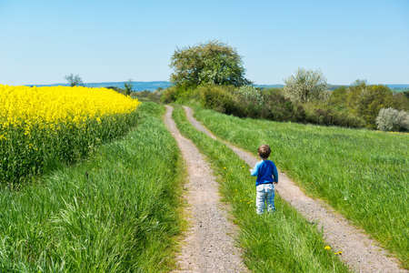 Little boy on the rural road between the colored fields and trees