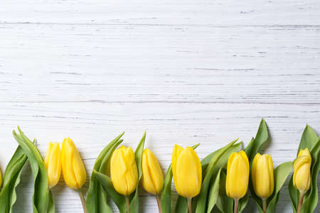 Yellow tulips on a wooden table, easter background, top view, flowers frameの写真素材