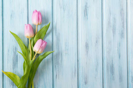 Fresh pink tulip flowers on blue wooden table, top view with copy spaceの写真素材