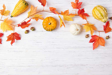 Autumn leaves and mini pumpkins over white wooden background, copy space, top viewの写真素材