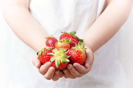 Child hands holding fresh ripe strawberries, healthy eating for kidsの写真素材