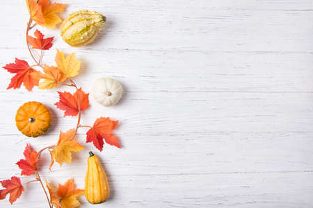 Autumn leaves and mini pumpkins over white wooden background, copy space, top viewの写真素材