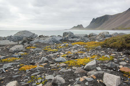 Beautiful coast Stokksnes with view to the Atlantic ocean and mountains, East Icelandの写真素材