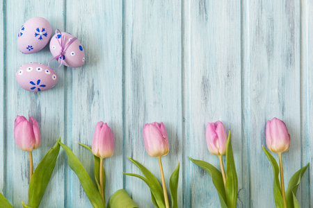 Row of bright pink tulips on blue wooden background and colored easter eggs, top viewの写真素材