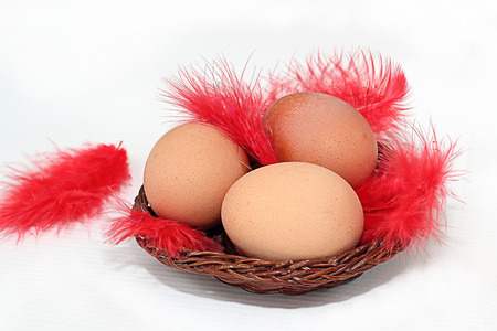 three eggs in a basket and a featherの写真素材