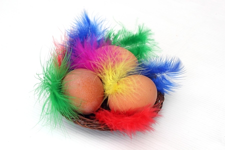 three eggs in a basket and a featherの写真素材