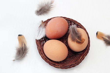three eggs in a basket and a featherの写真素材