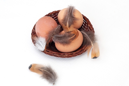 three eggs in a basket and a featherの写真素材