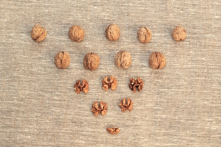 Walnut kernels and whole walnuts on burlapの写真素材