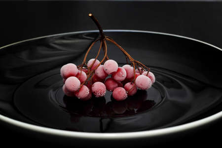 Frozen red viburnum berries on a black plateの写真素材