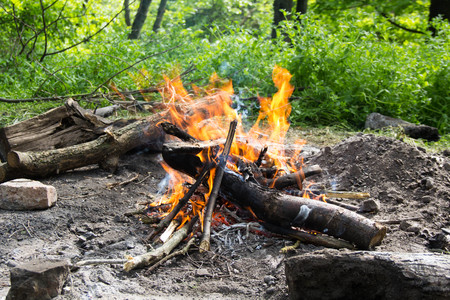 Bright fire bonfire in the spring forest.の写真素材