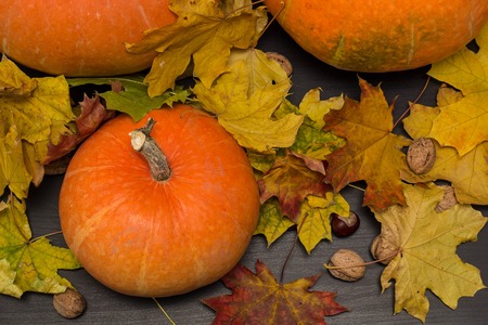 October nature concept with pumpkins, walnuts, chestnuts and autumn leavesの写真素材
