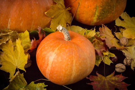 October nature concept with pumpkins, walnuts, chestnuts and autumn leaves
