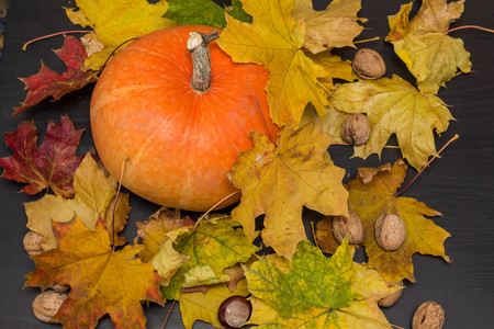 October nature concept with pumpkins, walnuts, chestnuts and autumn leavesの写真素材