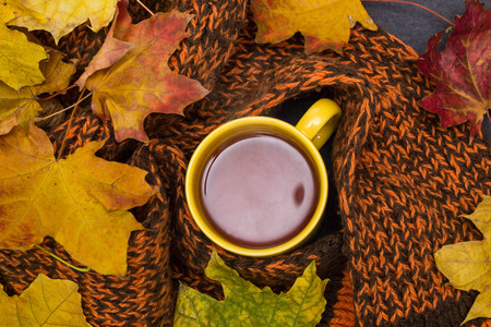 Pumpkins, scarf on wooden table with hot tea in yellow cupの写真素材