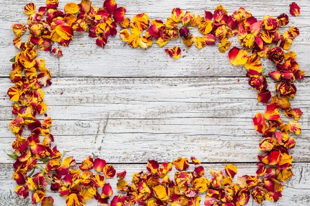 Dry petals of rose on a white wooden background. top view. copy spaceの写真素材
