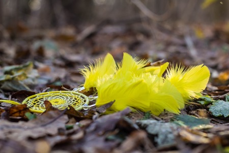Red black and purple Dreamcatcher with bat made of feathers leather beads and ropes, hangingの写真素材
