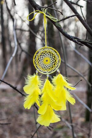 Red black and purple Dreamcatcher with bat made of feathers leather beads and ropes, hangingの写真素材