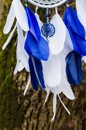 Blue and white Dreamcatcher made of feathers leather beads and ropes, hangingの写真素材