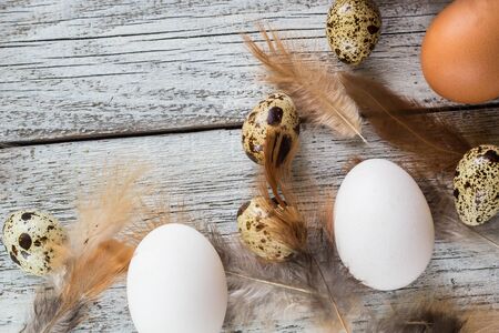 Easter background made from Easter eggs and chicken feathers frame. Copy space.