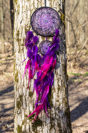 Colorful Dreamcatcher made of feathers leather beads and ropes, hanging, handmadeの写真素材