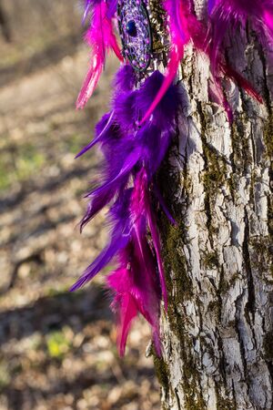 Colorful Dreamcatcher made of feathers leather beads and ropes, hanging, handmadeの写真素材