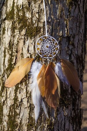 Colorful Dreamcatcher made of feathers leather beads and ropes, hanging, handmadeの写真素材