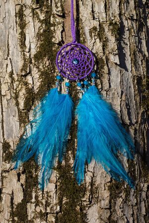Colorful Dreamcatcher made of feathers leather beads and ropes, hanging, handmadeの写真素材