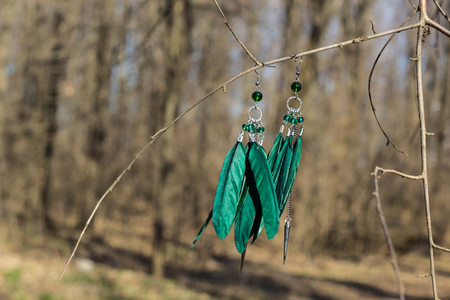 Earrings with feathers on the branch in springの写真素材