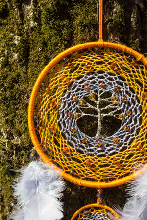 Colorful Dreamcatcher made of feathers leather beads and ropes, hanging, handmadeの写真素材