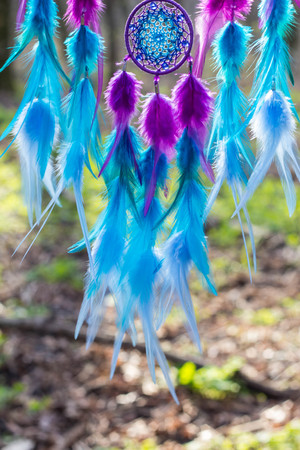 Colorful Dreamcatcher made of feathers leather beads and ropes, hanging, handmadeの写真素材