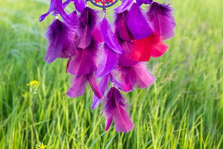 Colorful Dreamcatcher made of feathers leather beads and ropes, hanging, handmadeの写真素材