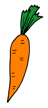 Cute isolated illustration of carrot.のイラスト素材