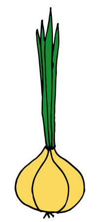 Fresh Vegetable Onion isolated icon.のイラスト素材