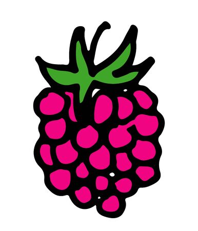 Sweet berry isolated on white background. Vector icons. Illustration with raspberryのイラスト素材