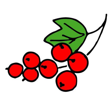 Berry red currant on a green branch on a white background vector illustrationのイラスト素材