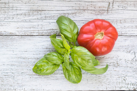 Tomato and basil on white wooden background. Top viewの写真素材