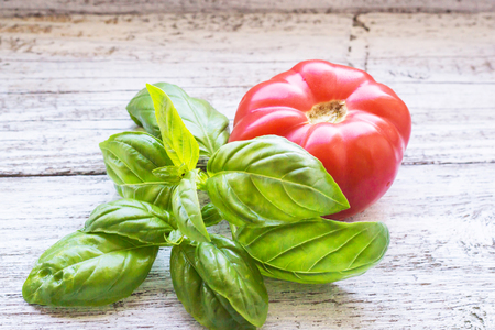 Tomato and basil on white wooden background. Top viewの写真素材