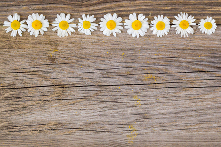 Border of daisy chamomile flowers on wooden background. View with copy space.の写真素材