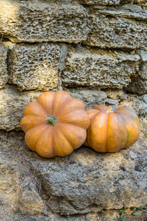 two pumpkins on stone wall in autumn.の写真素材