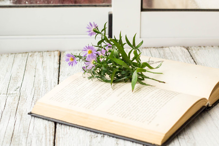 Blooming Virgin asters flowers on open book on window. Autumn summer background.の写真素材