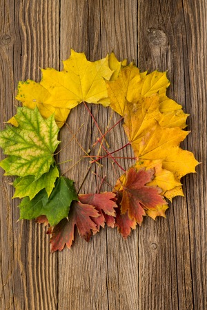 Colorful and bright background from a circle of autumn leaves, on a wooden background. Autumn concept.の写真素材